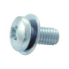 TR Fastenings (M36PRSTPWZ100) Machine Screw  M3  6 mm  Steel