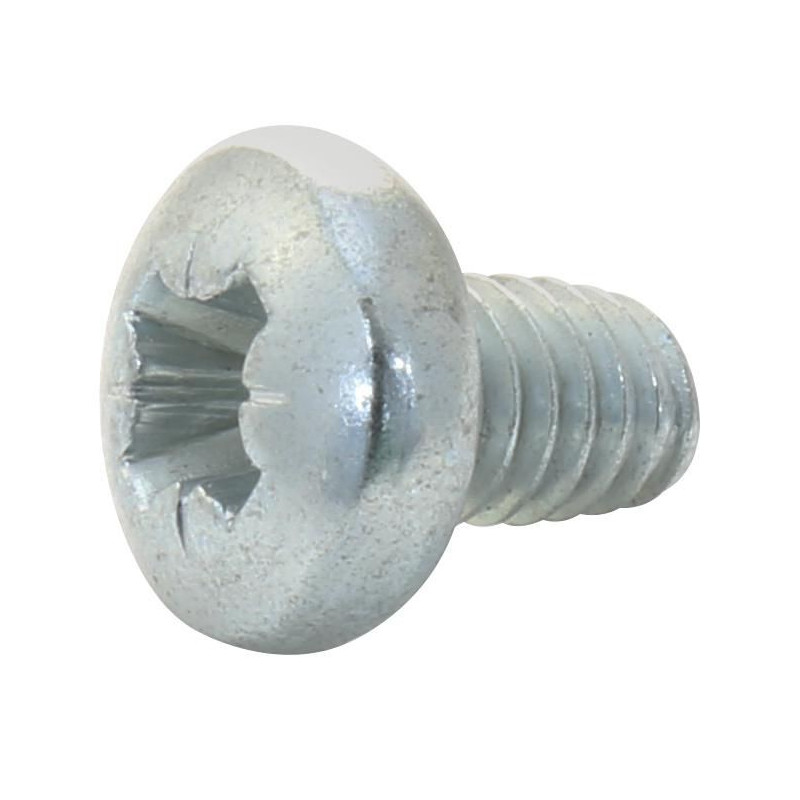 TR Fastenings (M46PRSTTTZ100-) Screw  DIN7500  M4  6 mm  Zinc