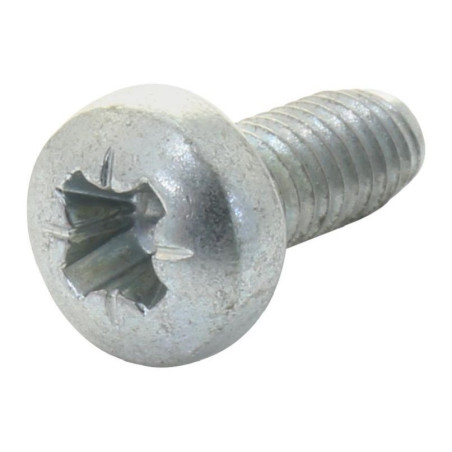 TR Fastenings (M410PRSTTTZ100-) Screw  DIN7500  M4  10 mm