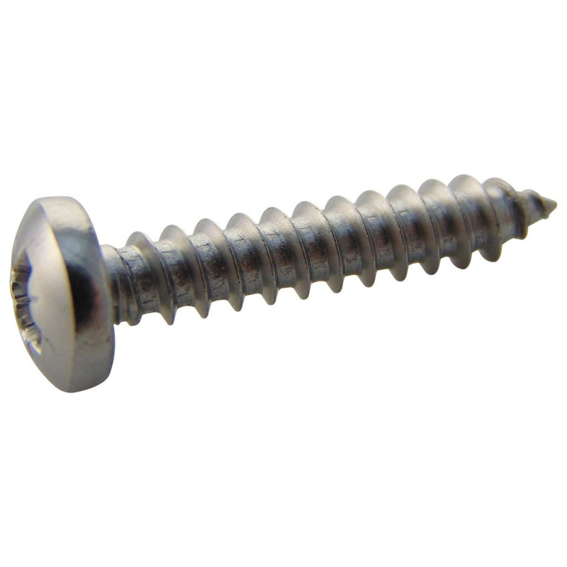 TR Fastenings (N60.750 PRA2ABS100-) Screw  Self-Tapping  No.6  19 mm