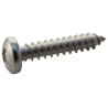 TR Fastenings (N60.750 PRA2ABS100-) Screw  Self-Tapping  No.6  19 mm