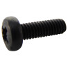 TR Fastenings (M412 PRSTMCB100-) Machine Screw  M4  12 mm  Steel