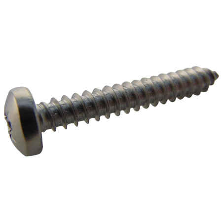 TR Fastenings (N101.250 PRA2ABS100-) Screw  Self-Tapping  No.10  31.7 mm