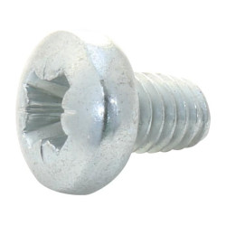 TR Fastenings (M46PTSTMCZ100-) Machine Screw, M4, 6 mm