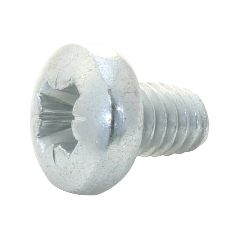 TR Fastenings (M46PTSTMCZ100-) Machine Screw, M4, 6 mm