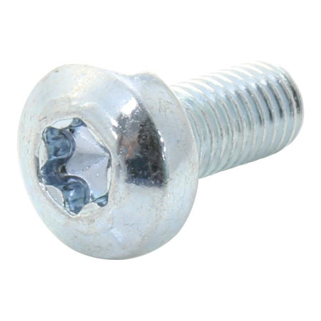 TR Fastenings (M58PRSTTTZ100-) Screw, DIN7500, M5, 8 mm, Zinc