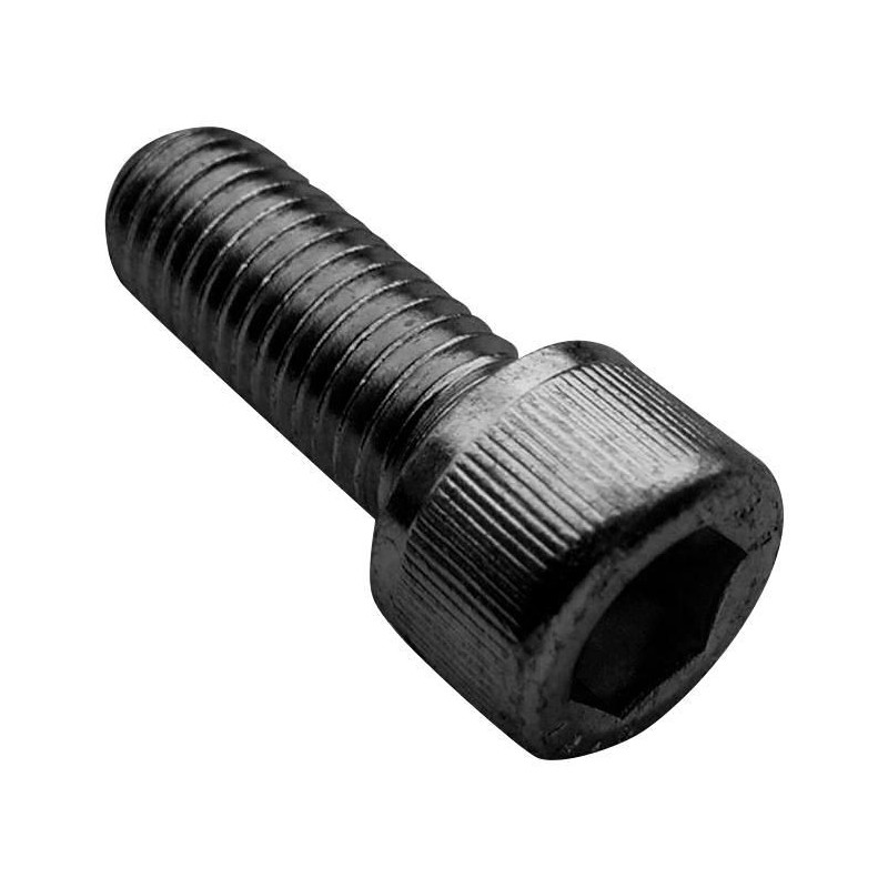 TR Fastenings (M8 16 SO12CS S100) Socket Screw, Cap, Hex Socket