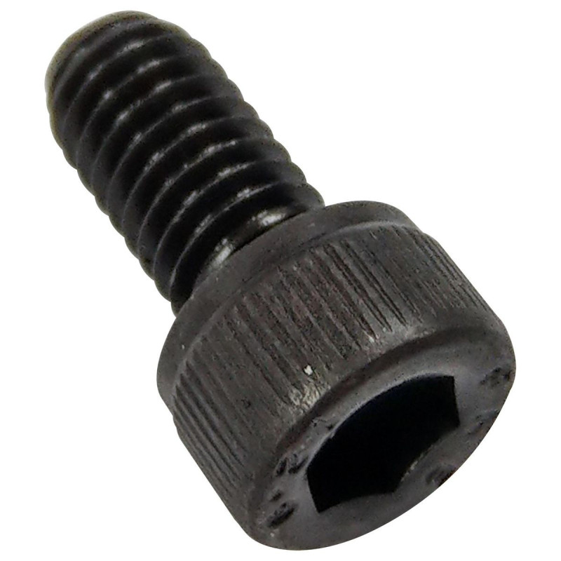 TR Fastenings (M4 20 SO12CS S100) Socket Screw, Cap, Hex Socket