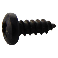 TR Fastenings (N60.375 PRSTABB100-) Screw, Self-Tapping, No.6, 9.5 mm