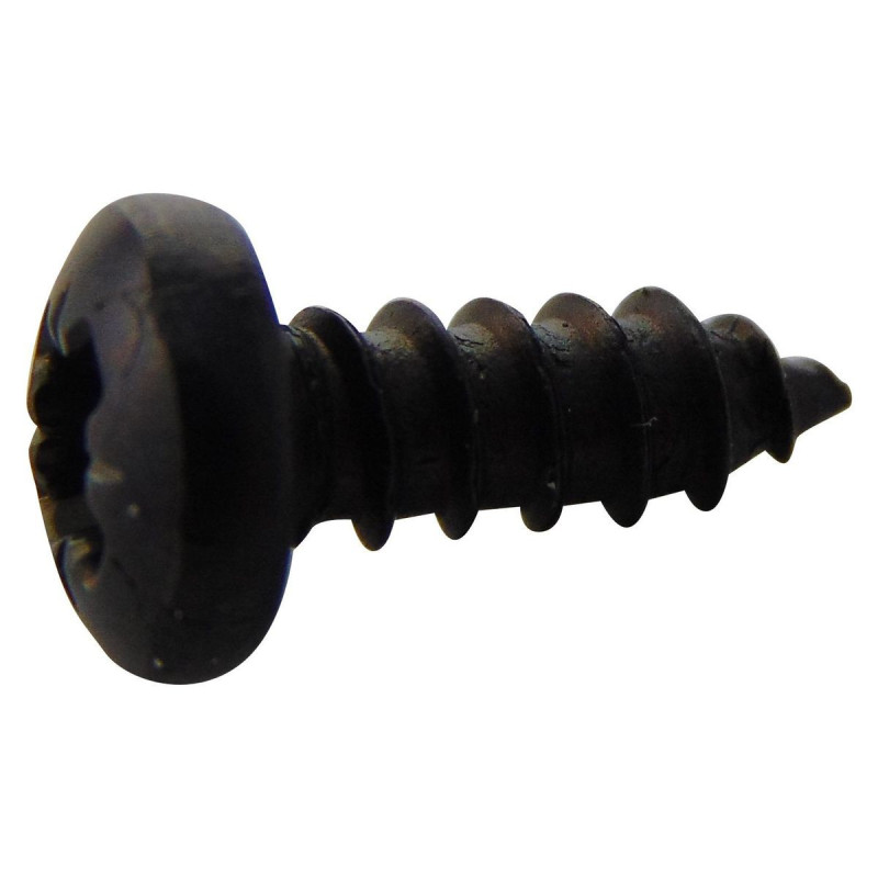 TR Fastenings (N60.375 PRSTABB100-) Screw, Self-Tapping, No.6, 9.5 mm