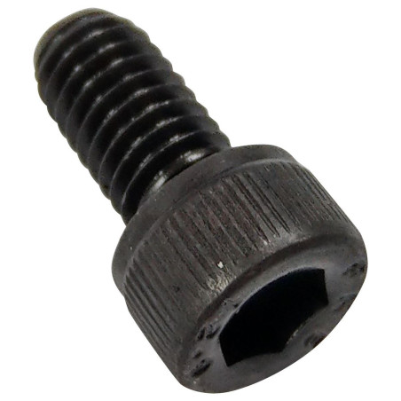 TR Fastenings (M6 20 SO12CS S100) Socket Screw, Cap, Hex Socket